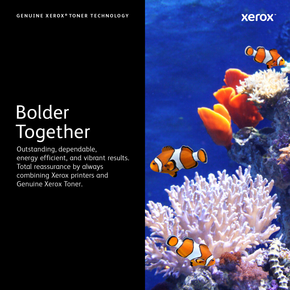 Xerox VersaLink C50X Black Drum Cartridge (40,000 pages)