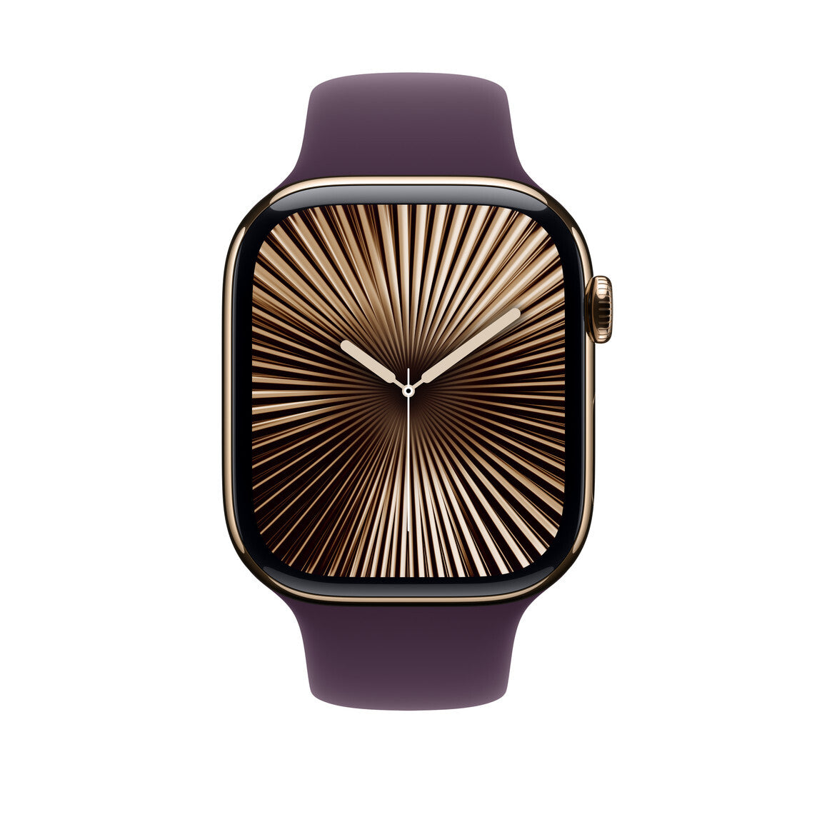 Apple MXLT3ZM/A smart wearable accessory Band Plum colour Fluoroelastomer
