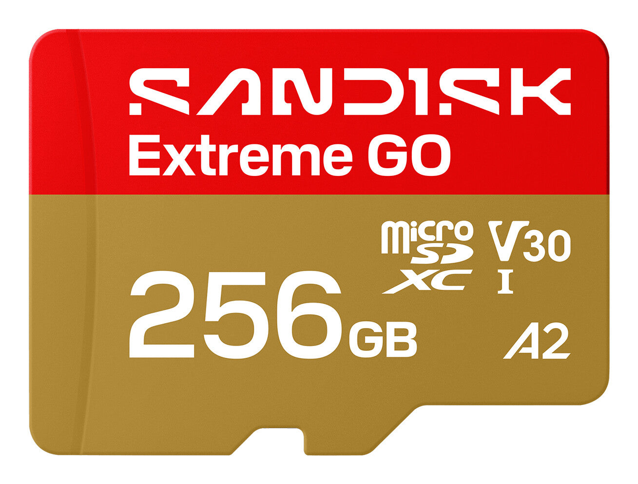 SanDisk Extreme GO 256 GB MicroSDXC UHS-I