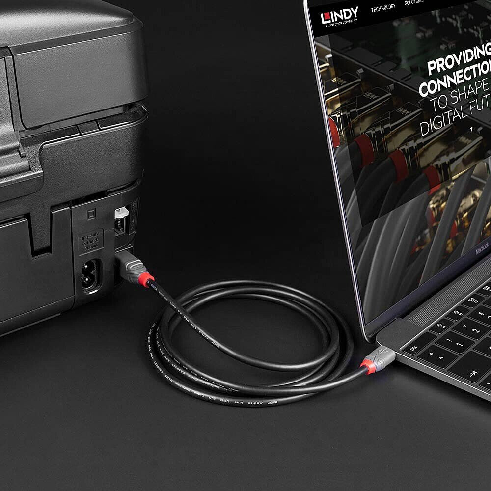 Lindy 1m USB 2.0 Type C to B Cable, Anthra Line