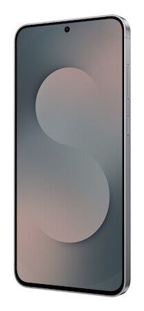 Samsung Galaxy S25 FE Enterprise Edition 17 cm (6.7") Dual SIM Android 16.0 5G USB Type-C 8 GB 128 GB 4900 mAh Black