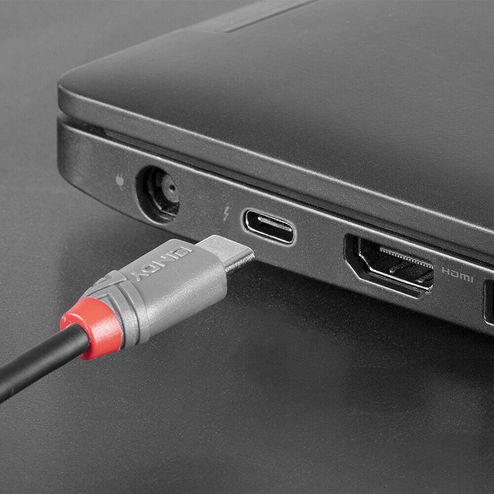 Lindy 2m USB 2.0 Type C to Micro-B Cable, Anthra Line