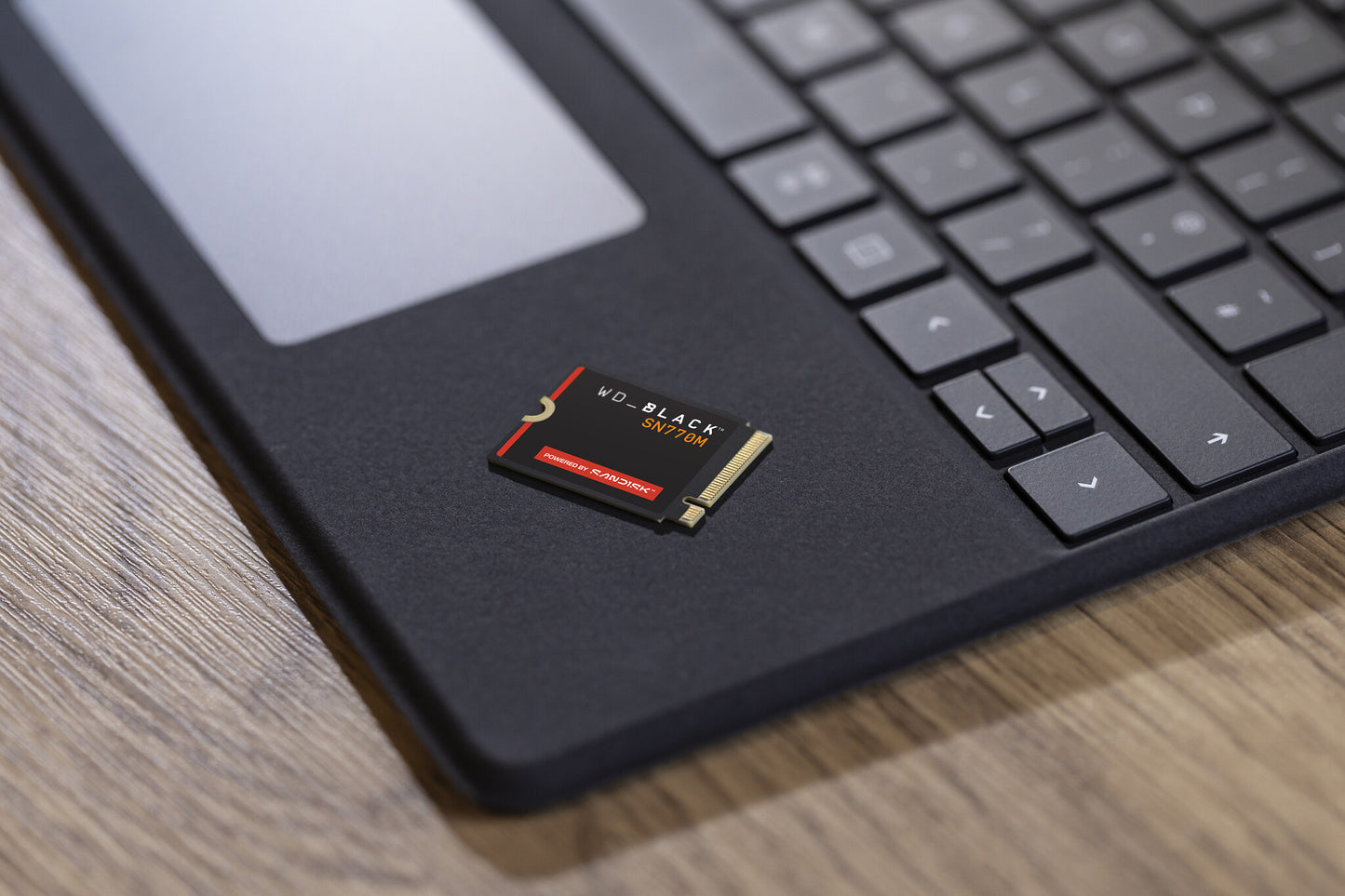 Western Digital Black WD_BLACK™ SN770M NVMe™ SSD POWERED BY SANDISK 1 TB