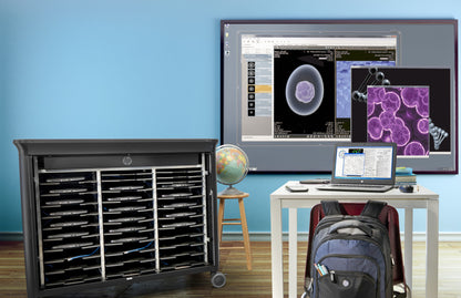 HP External USB DVDRW Drive