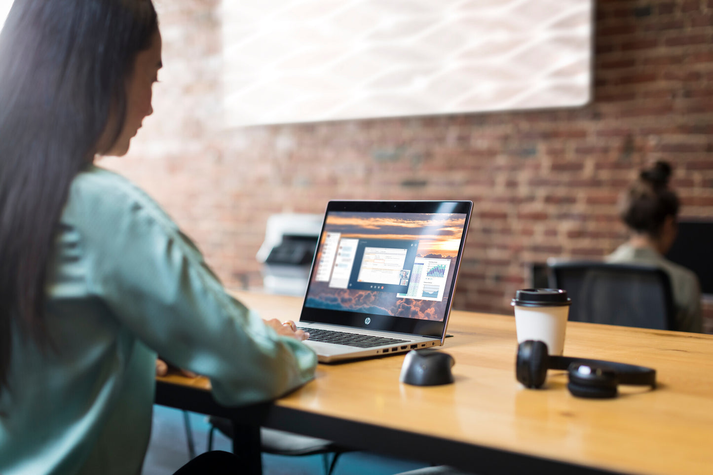 HP USB Fingerprint Mouse