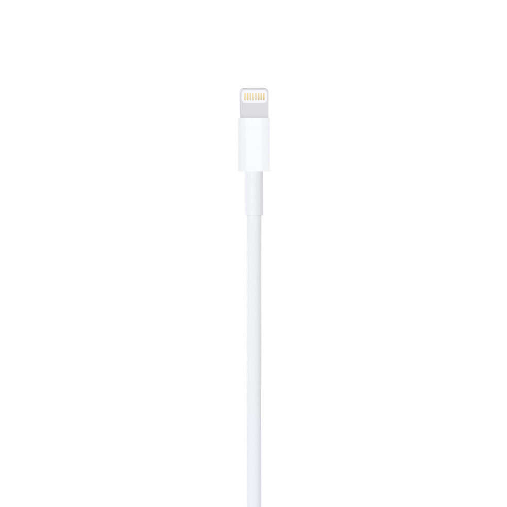 Apple Lightning to USB Cable (1m)