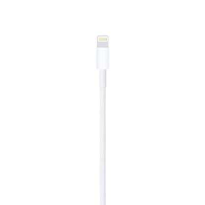 Apple Lightning to USB Cable (1m)