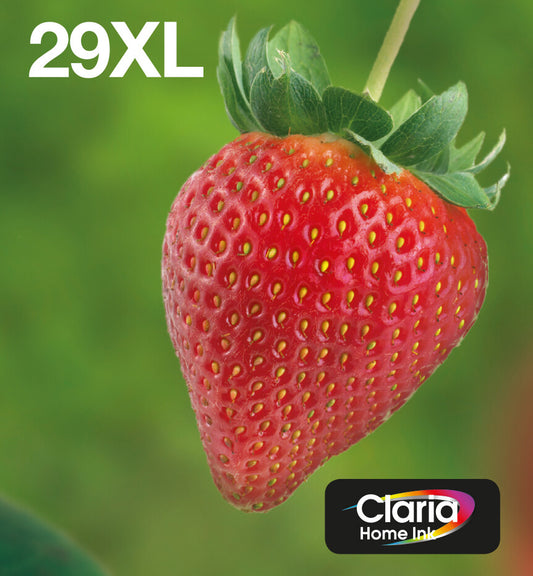 Epson Strawberry Multipack 4-colours 29XL EasyMail, black, cyan, magenta and yellow