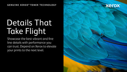 Xerox Genuine ® B305 Multifunction Printer/B310 Printer/B315 Multifunction Printer Black Standard capacity Toner Cartridge (3000 Pages) - 006R04376