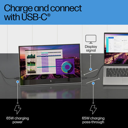 HP E-Series E14 G4 Portable Monitor