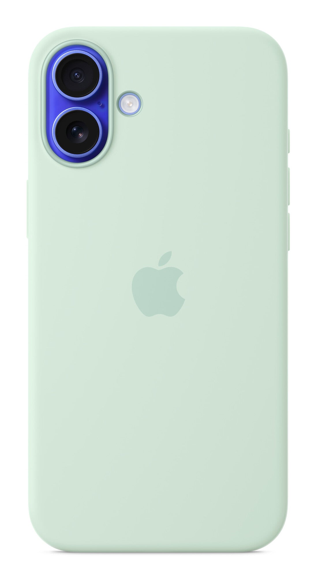 Apple MDGU4ZM/A mobile phone case 17 cm (6.7") Cover Aquamarine