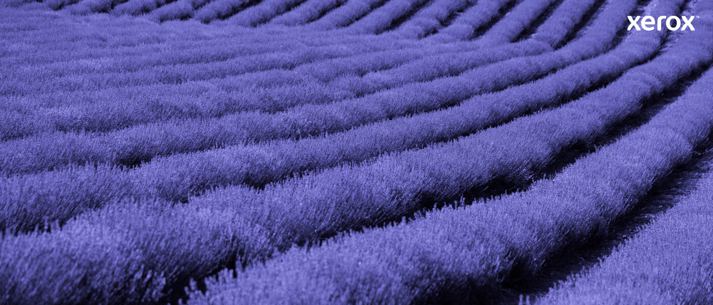 Xerox Genuine Phaser® 6510, WorkCentre® 6515 Black Standard capacity Toner Cartridge (2500 Pages) - 106R03476