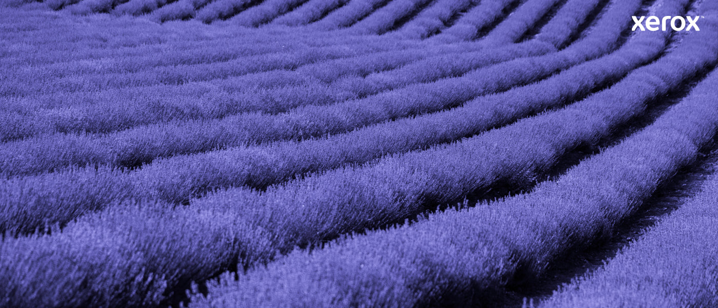 Xerox Genuine ® VersaLink® C400 Color Printer/C405 Color Multifunction Printer Cyan Standard capacity Toner Cartridge (2500 Pages) - 106R03502