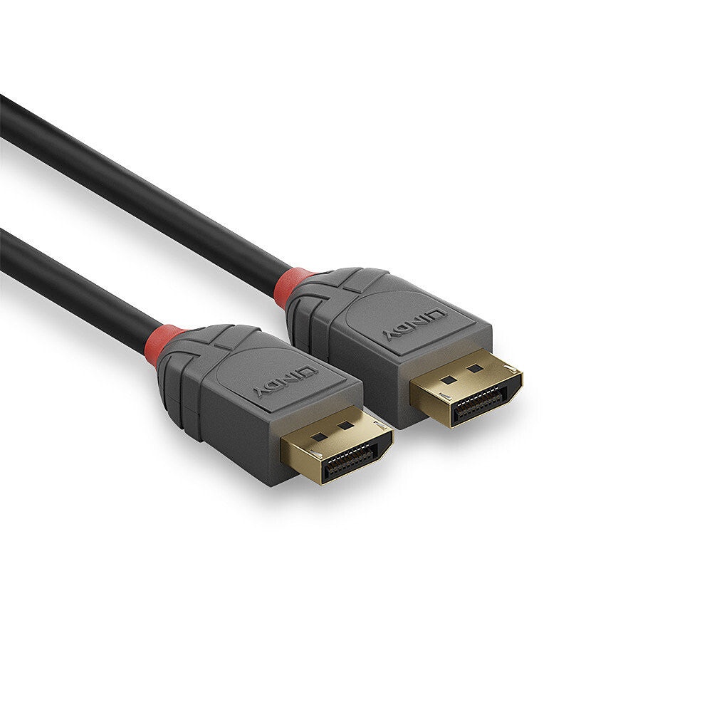 Lindy 0.5m DisplayPort 1.4 Cable, Anthra Line