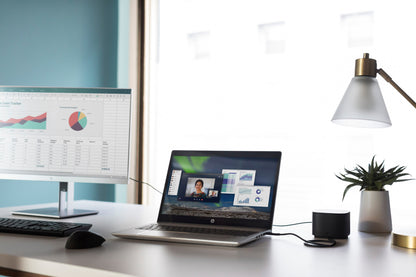 HP USB Fingerprint Mouse