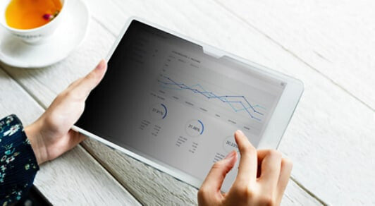 3M Bright Screen Privacy Filter for Apple® iPad 11in, BPTAP003