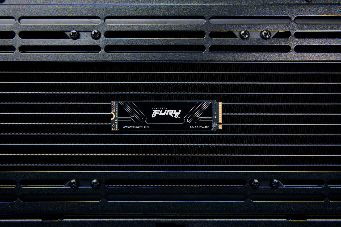 Kingston Technology 4T FURY RENEGADE G5 M.2 2280 NVMe SSD