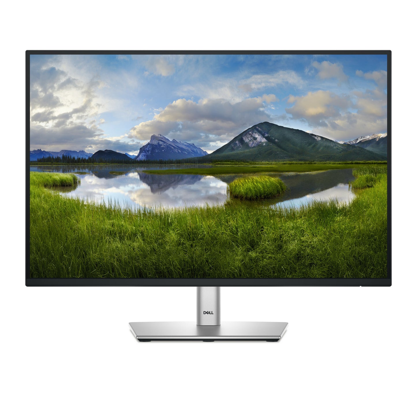 DELL Pro Plus P2425E computer monitor 61 cm (24") 1920 x 1200 pixels WUXGA LCD Black
