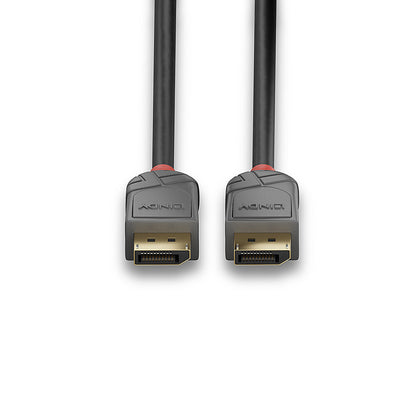 Lindy 0.5m DisplayPort 1.4 Cable, Anthra Line