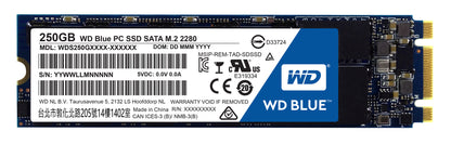 Western Digital Blue PC 250 GB M.2