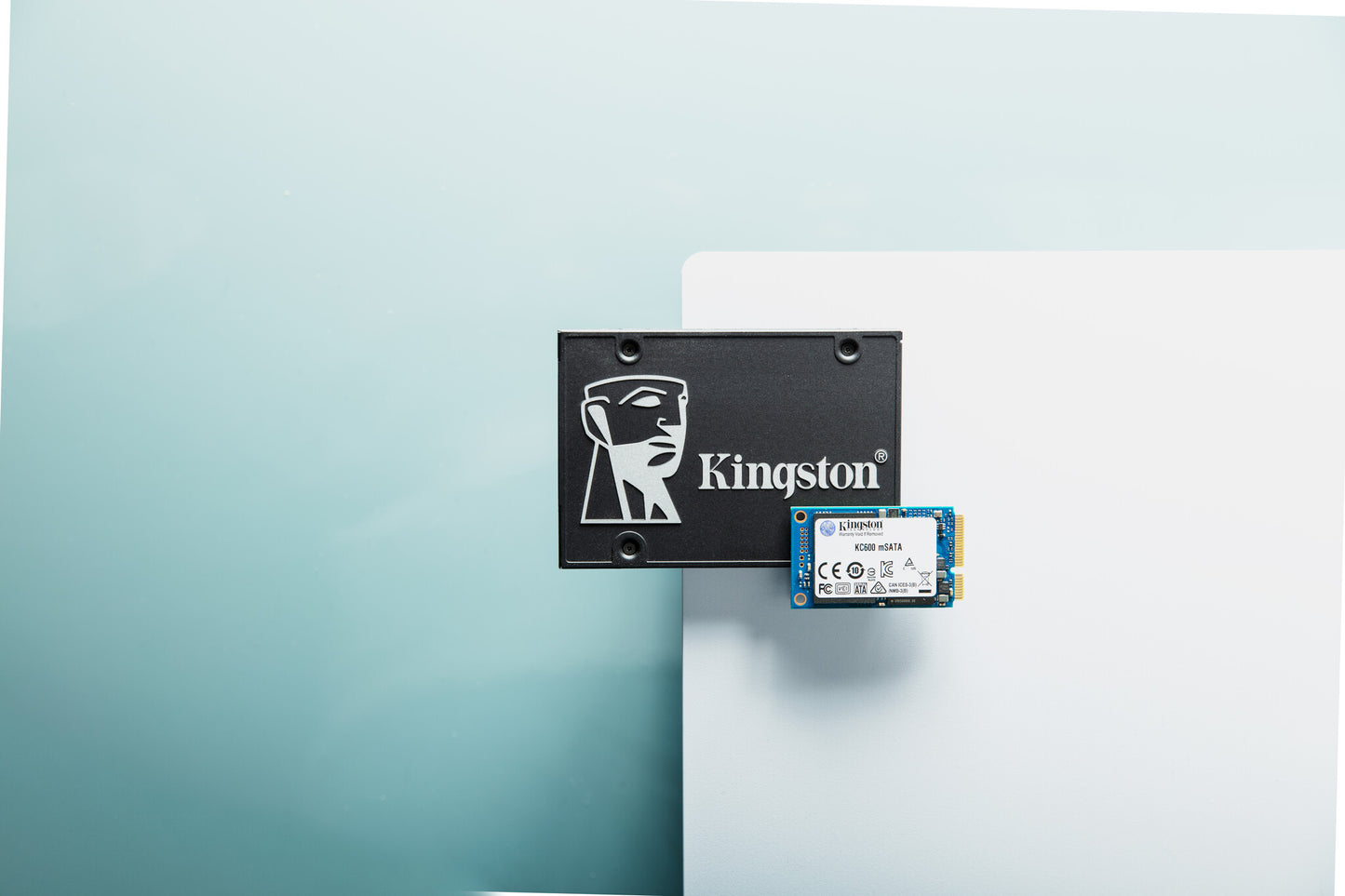 Kingston Technology 512G SSD KC600 SATA3 mSATA
