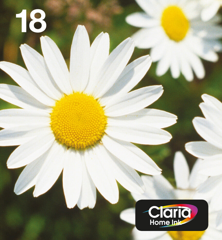 Epson Daisy 18 Claria Home Multipack 4-colours EasyMail Ink