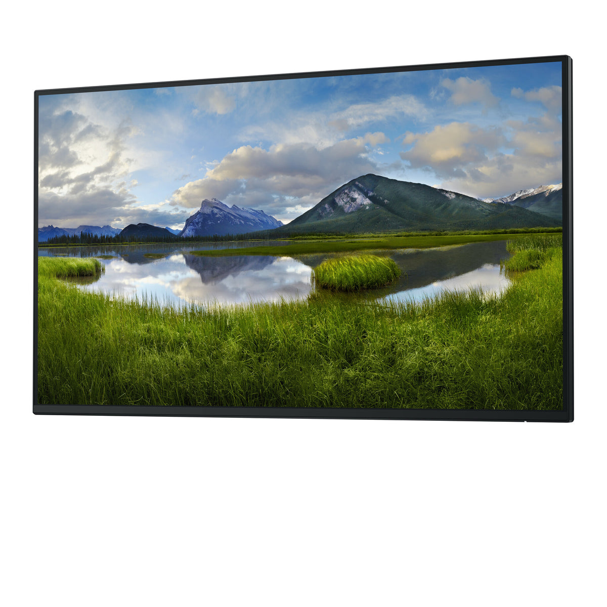 DELL Pro Plus P2725H_WOST computer monitor 68.6 cm (27") 1920 x 1080 pixels Full HD LCD Black