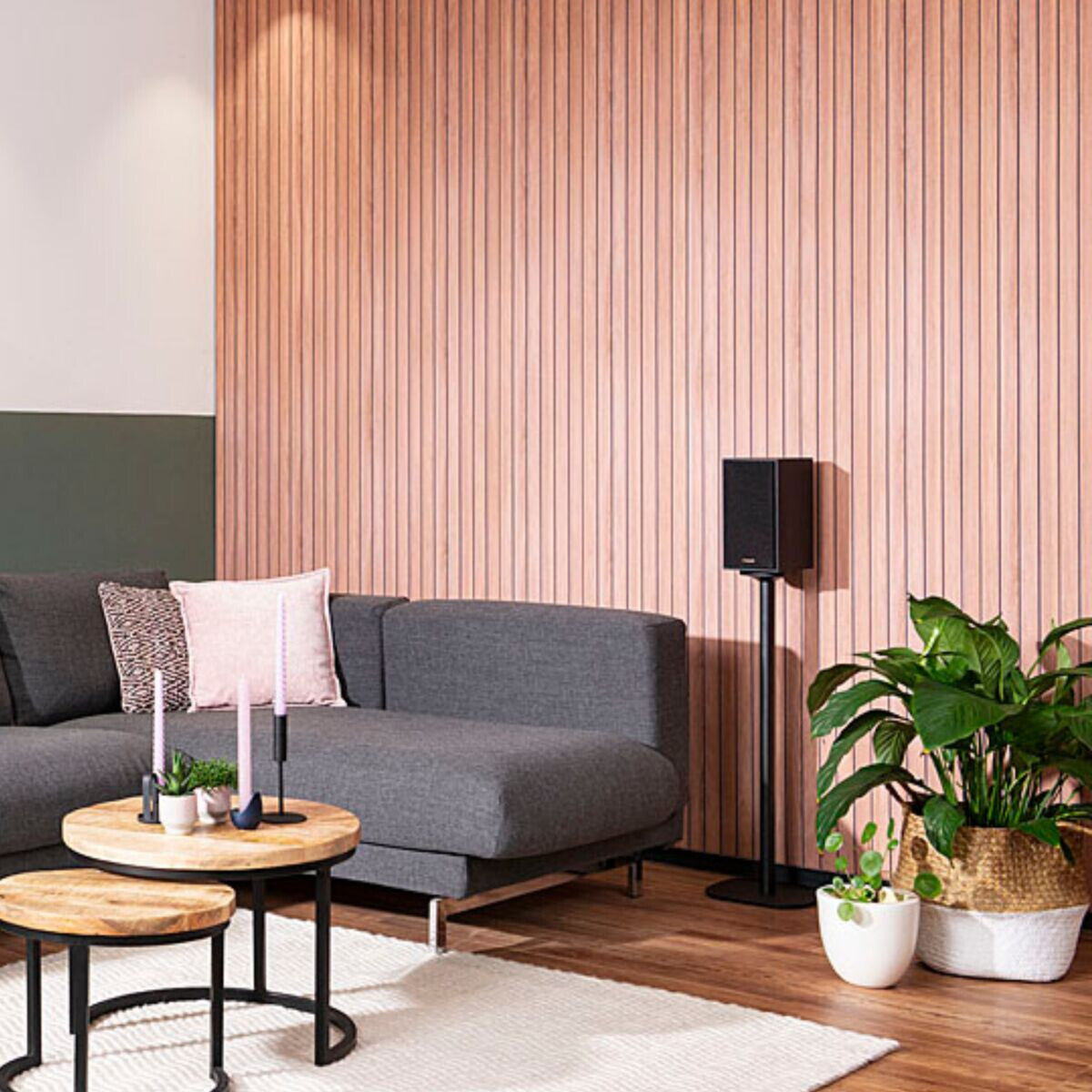 Marmitek Speaker Anywhere 650 - Wireless speakers connection