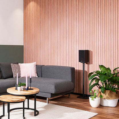 Marmitek Speaker Anywhere 650 - Wireless speakers connection
