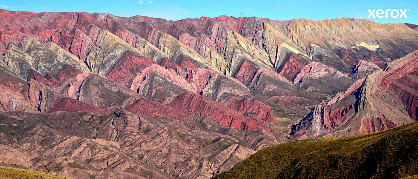 Xerox Genuine ® C230 Color Printer/C235 Color Multifunction Printer Yellow Standard capacity Toner Cartridge (1500 Pages) - 006R04386