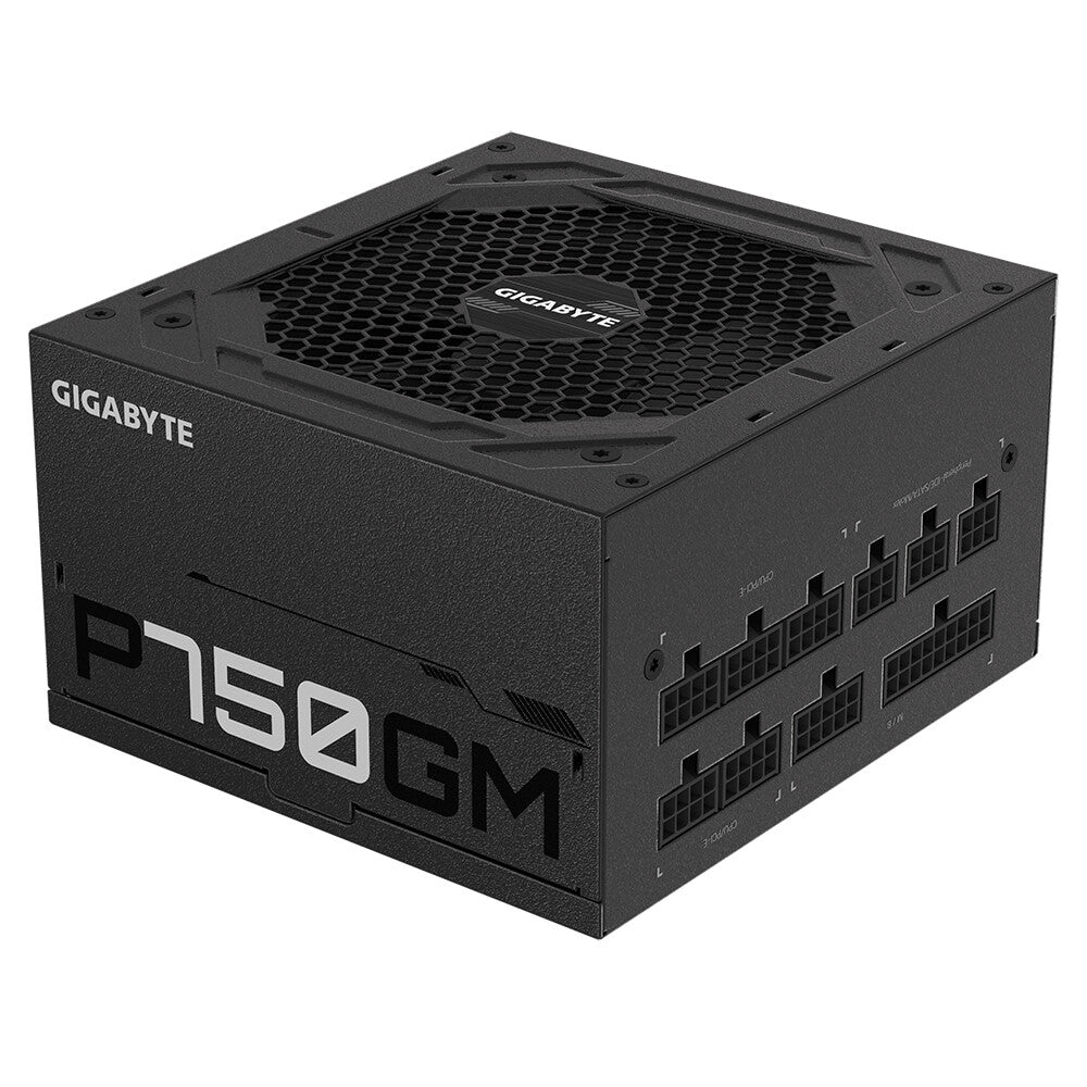 GIGABYTE P750GM power supply unit 750 W 20+4 pin ATX ATX Black