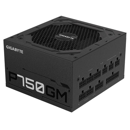 GIGABYTE P750GM power supply unit 750 W 20+4 pin ATX ATX Black