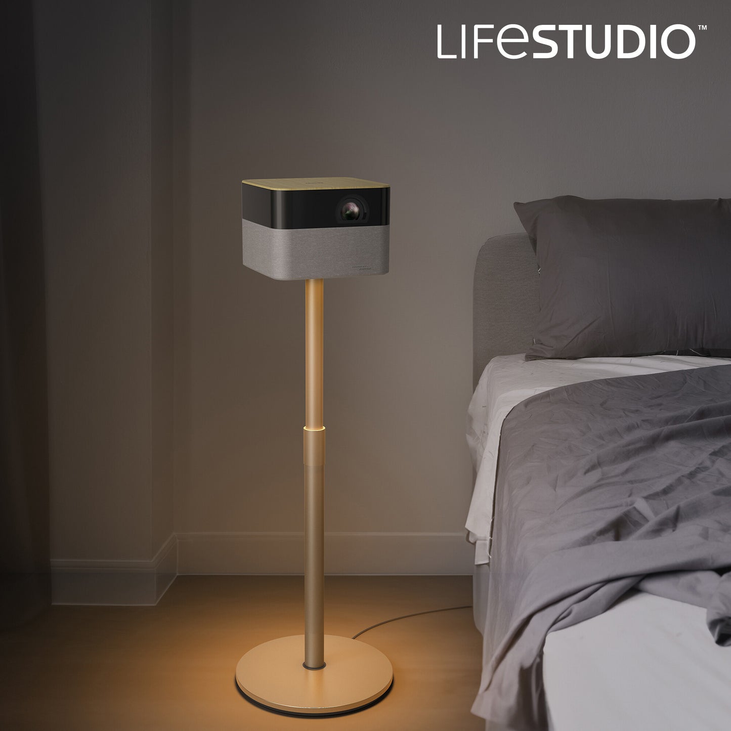 Epson Projector Accessory - ELPFS01 - Adjustable floor stand for Lifestudio Flex