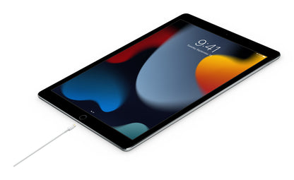 Apple USB-C to Lightning Cable (2m)