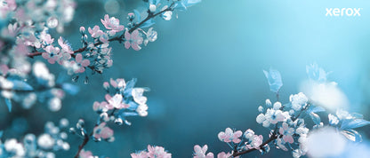 Xerox Genuine ® B225 Multifunction Printer/B230 Printer/B235 Multifunction Printer Black High capacity Toner Cartridge (3000 Pages) - 006R04400