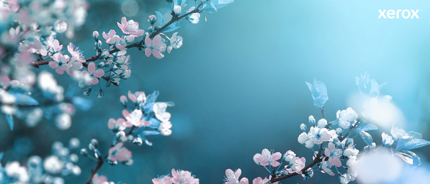 Xerox Genuine Phaser® 6510, WorkCentre® 6515 Black High capacity Toner Cartridge (5500 Pages) - 106R03480