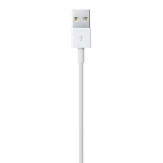 Apple Lightning to USB Cable (0.5 m)