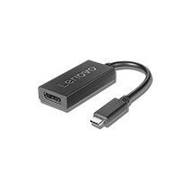 Lenovo 4X90Q93303 video cable adapter, USB-C to DisplayPort, 0.2 m, black