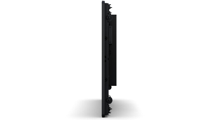 Elo Touch Solutions 2094L 49.5 cm (19.5") LED 225 cd/m² Black Touchscreen