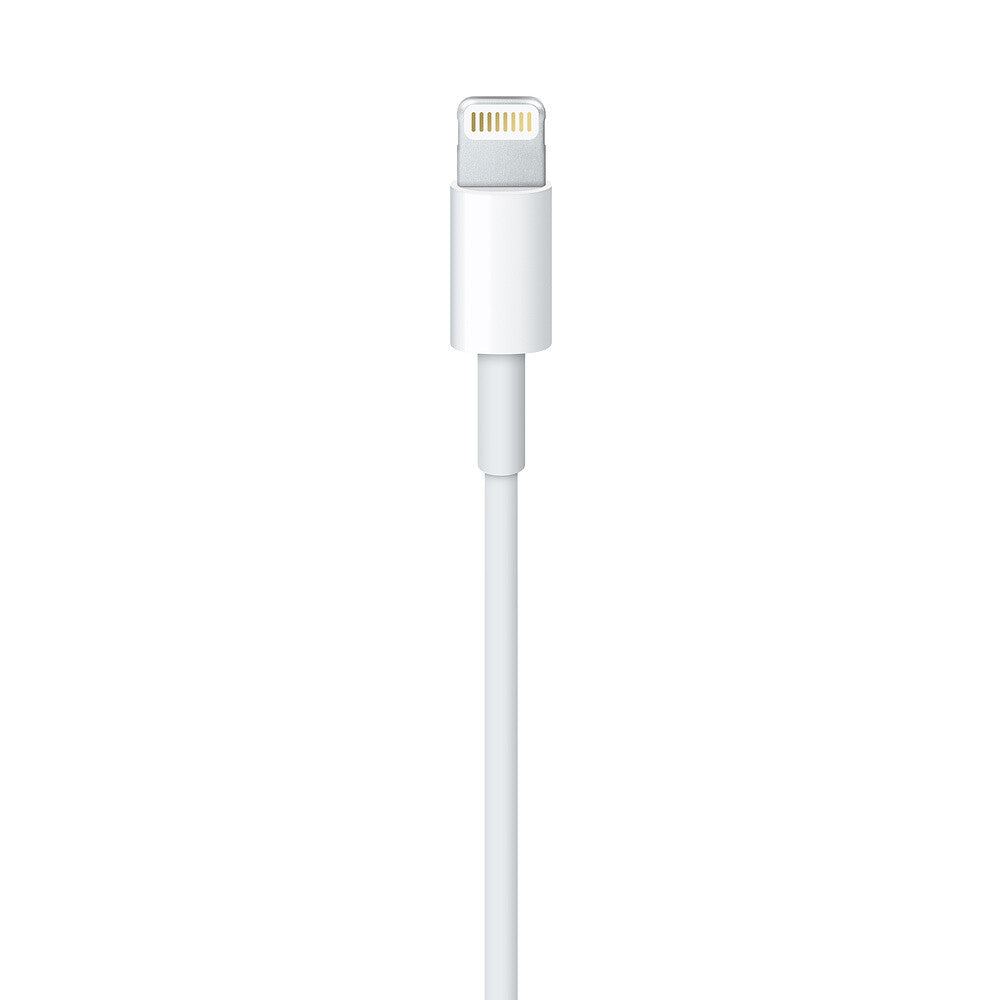 Apple Lightning to USB Cable (1В m)