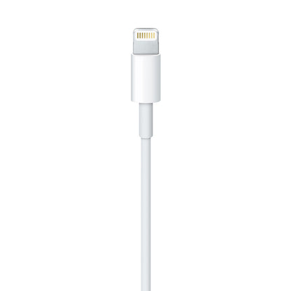 Apple Lightning to USB Cable (1В m)