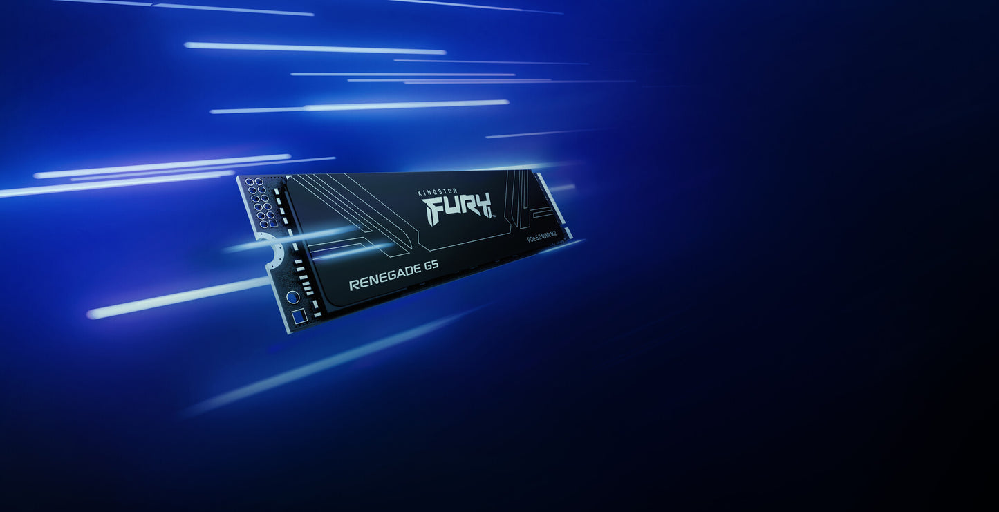 Kingston Technology 1T FURY RENEGADE G5 M.2 2280 NVMe SSD