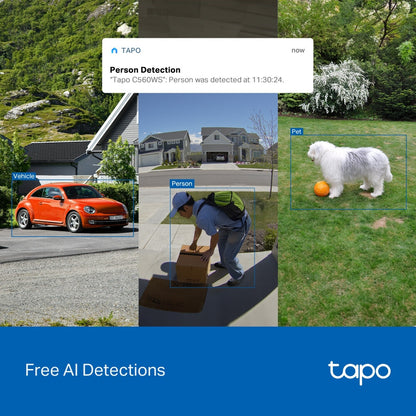 TP-Link Tapo Outdoor Pan/Tilt Security Wi-Fi Camera
