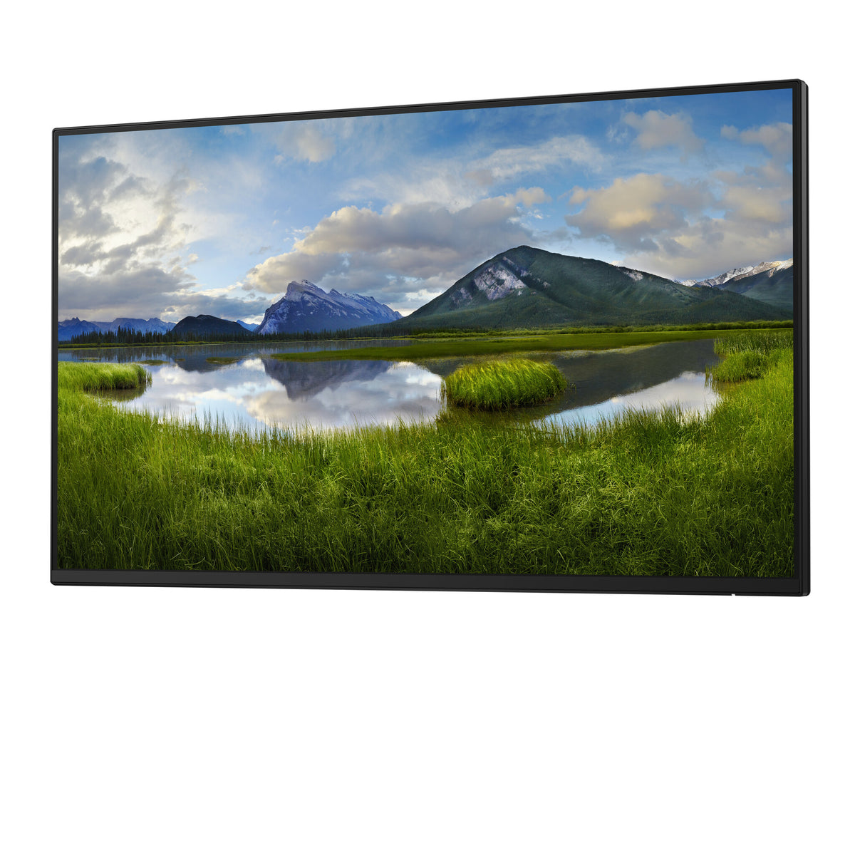 DELL Pro Plus P2425H_WOST computer monitor 61 cm (24") 1920 x 1080 pixels Full HD LCD Black