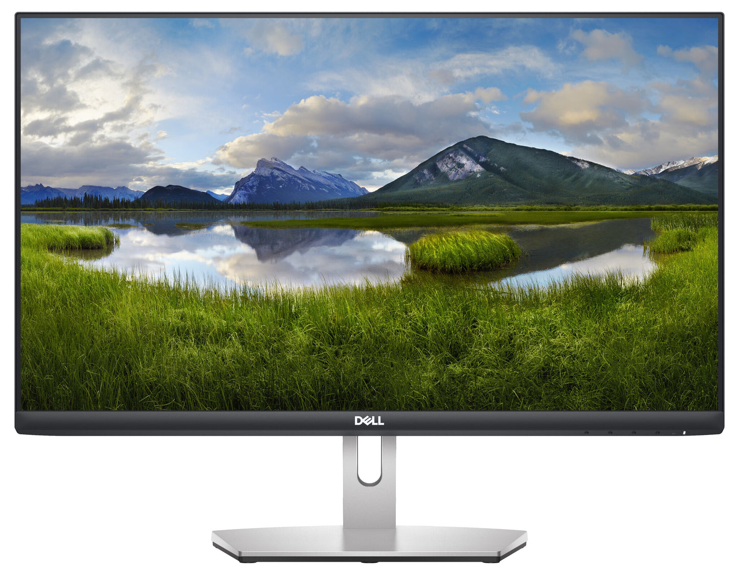 DELL S Series 24 Monitor - S2421HN