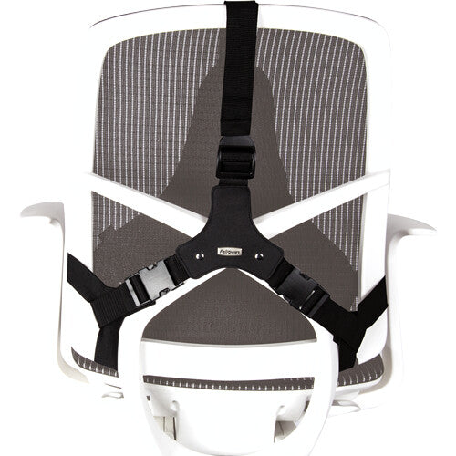 Fellowes Back Support for Office Chair - Professional Series Ultimate Back Support with Antibacterial Protection - H36.5 x W37.5 x D5.5cm