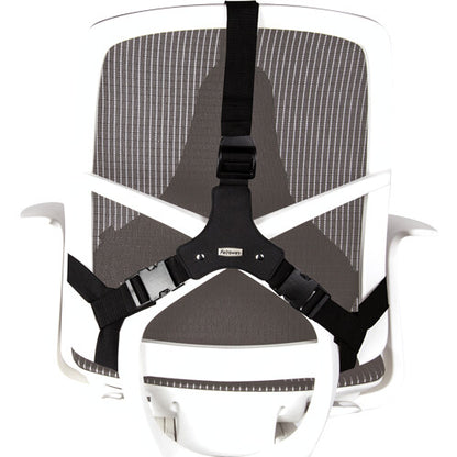 Fellowes Back Support for Office Chair - Professional Series Ultimate Back Support with Antibacterial Protection - H36.5 x W37.5 x D5.5cm