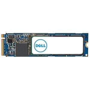 DELL AC037409 1 TB M.2 PCI Express 4.0 NVMe