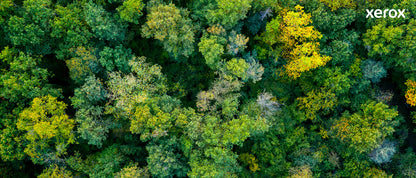 Xerox Genuine Phaser® 6510, WorkCentre® 6515 Black High capacity Toner Cartridge (5500 Pages) - 106R03480