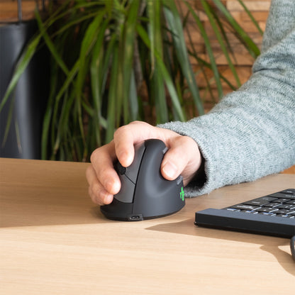 R-Go Tools Ergonomic mouse R-Go HE Break with break software, small (hand size ˂165 mm), right-handed, Wired, black